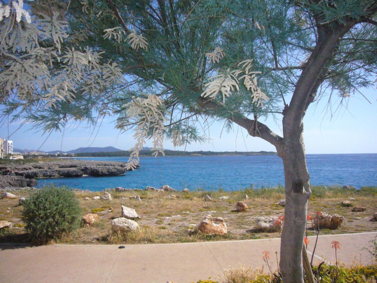 Holiday Home Randemar S'Illot  Exterior photo